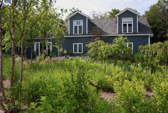 vibrant scenics: garden contemporary